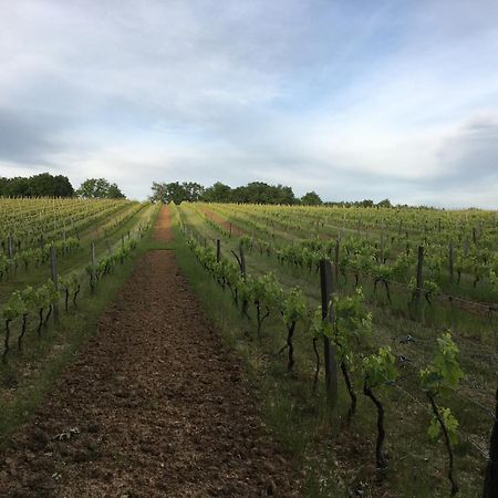 Chateau Masburel Fougueyrolles Esterno foto